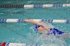 Swimming & Diving vs Babson  Swimming & Diving vs Babson College. - Photo by Keith Nordstrom : Wheaton, Swimming